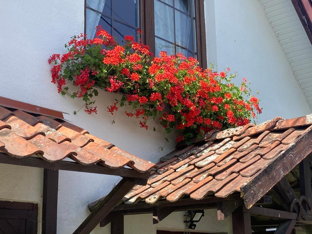 Dom Piasutno Villa Ngoại thất bức ảnh